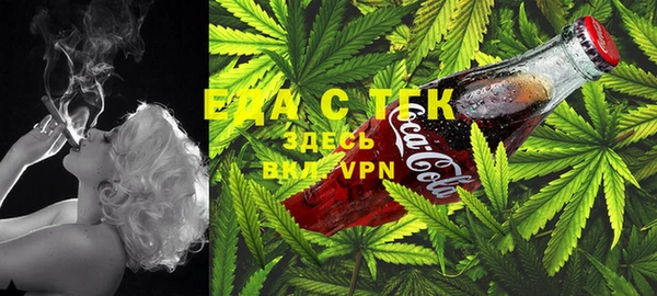 метадон Каменногорск