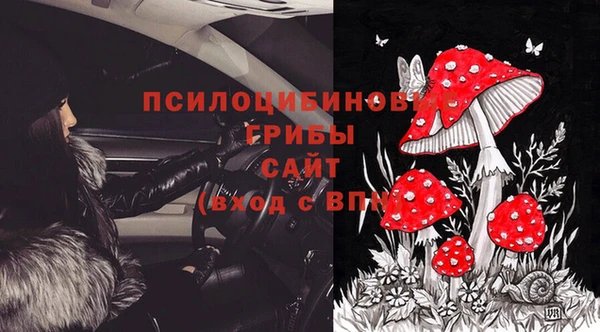 прущий лед Заводоуковск