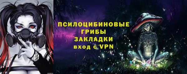 экстази Бородино